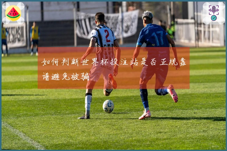 如何判断世界杯投注站是否正规靠谱避免被骗