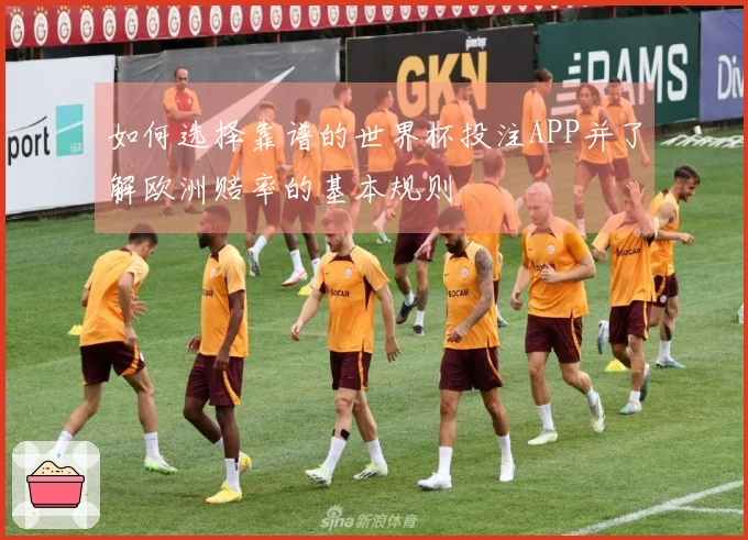 如何选择靠谱的世界杯投注APP并了解欧洲赔率的基本规则