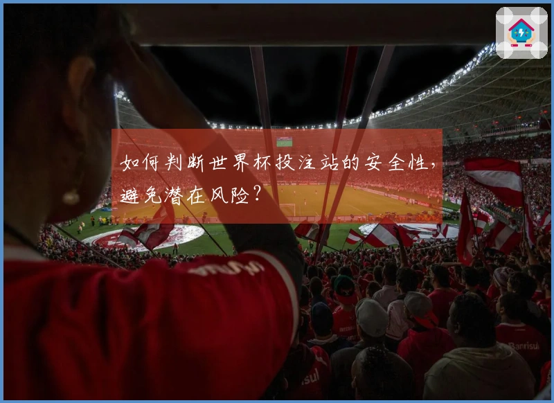 如何判断世界杯投注站的安全性，避免潜在风险？