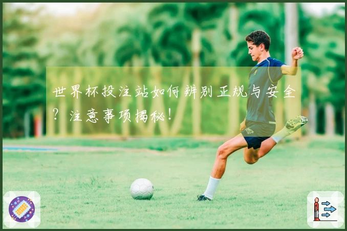 世界杯投注站如何辨别正规与安全？注意事项揭秘！