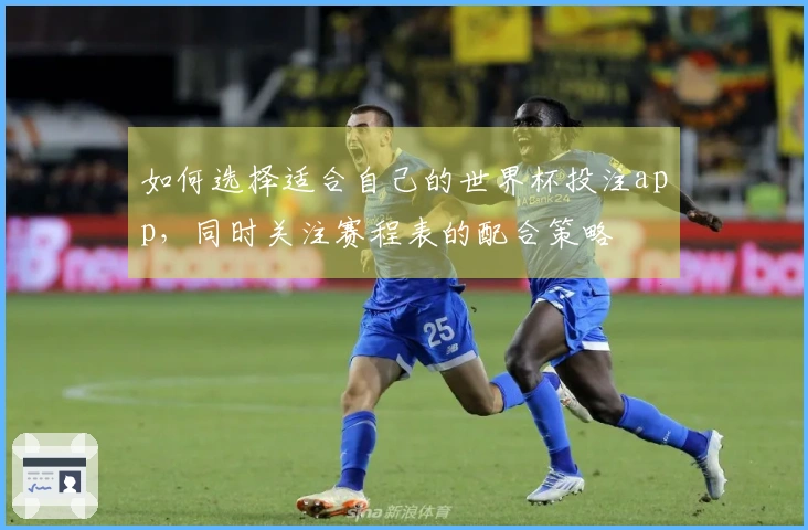 如何选择适合自己的世界杯投注app，同时关注赛程表的配合策略