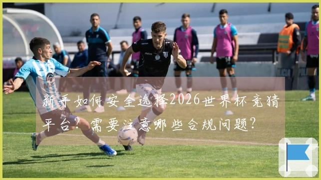 新手如何安全选择2026世界杯竞猜平台？需要注意哪些合规问题？