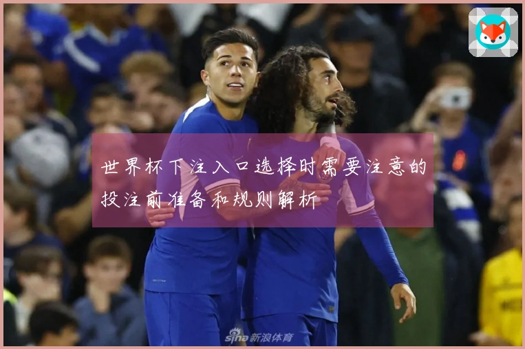 世界杯下注入口选择时需要注意的投注前准备和规则解析